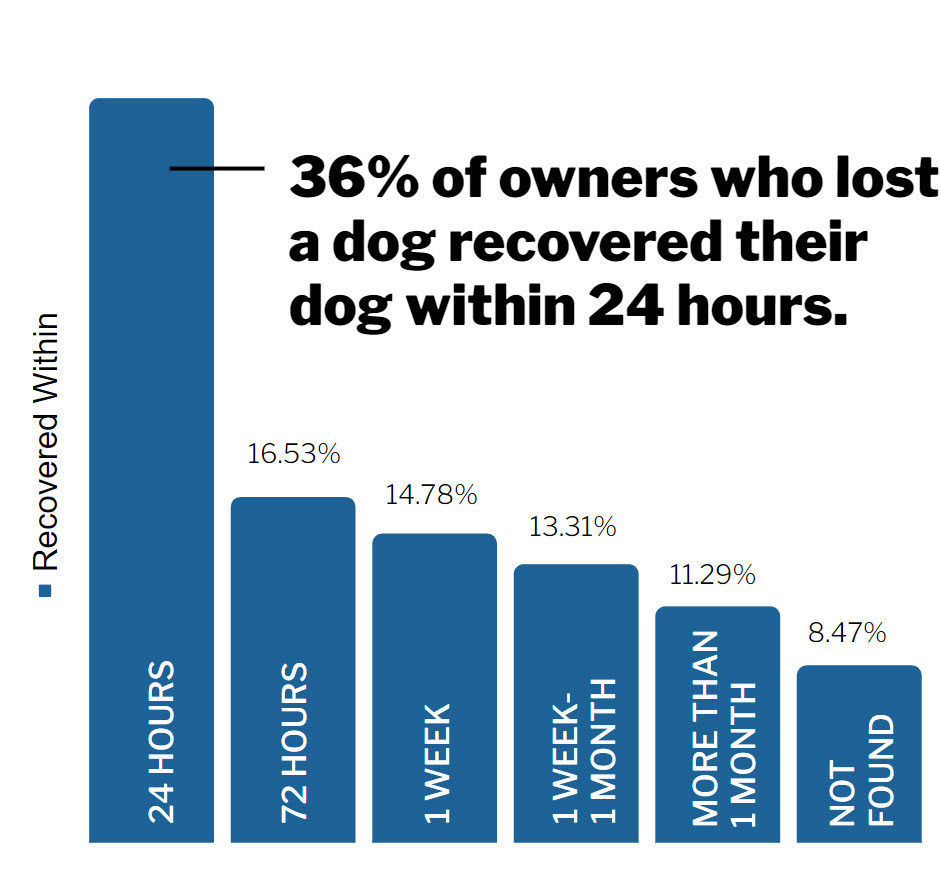 graph depicting length of time a pet is lost and tools to bring it home