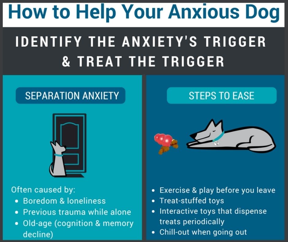 Infographic 'How to Help Your Anxious Dog'