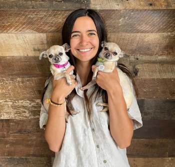 young woman holding two chihuahua type dogs wearing collars and PetHub tags
