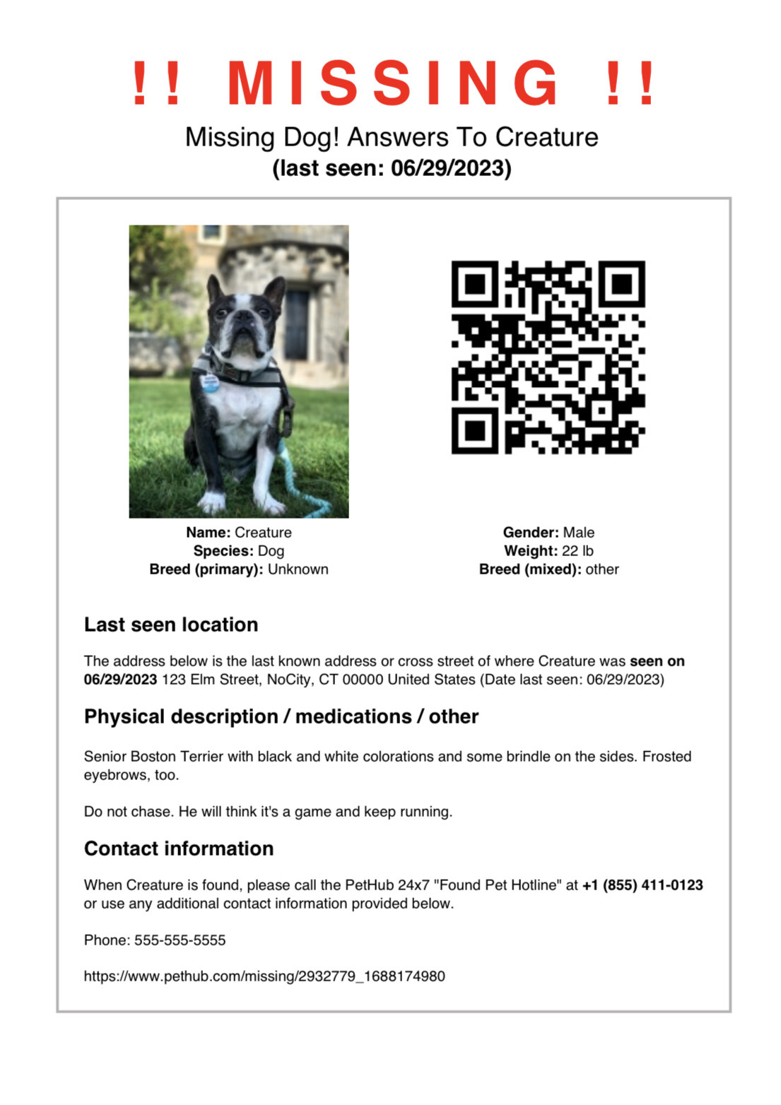 lost pet poster 