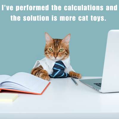 https://files.pethub.com/articles/boredom-busters-meme-cat-toys.jpg