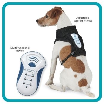 Dog wearing Calmz anxiety relief system