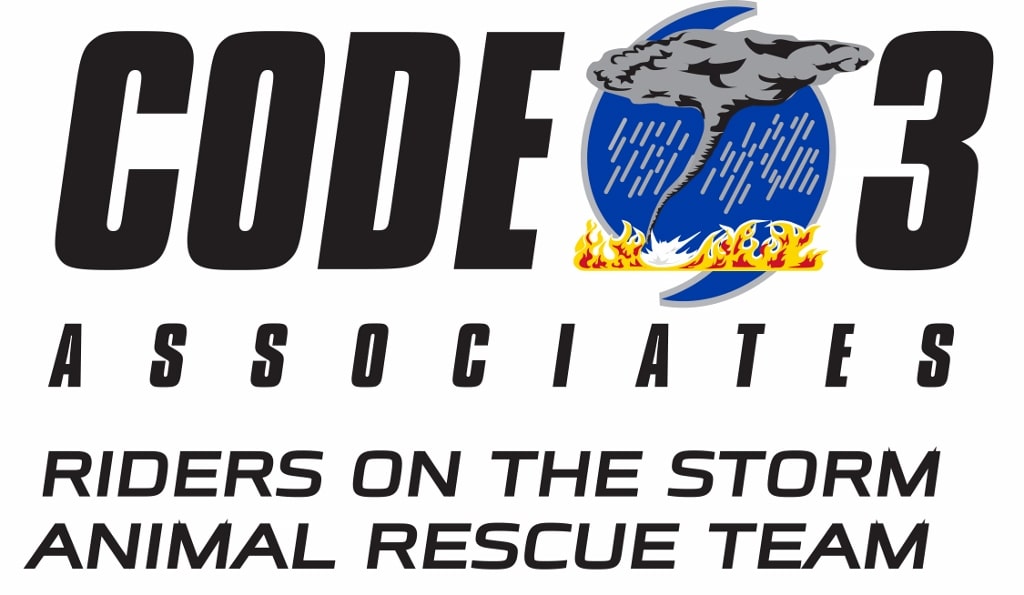 Code 4 Associates logo