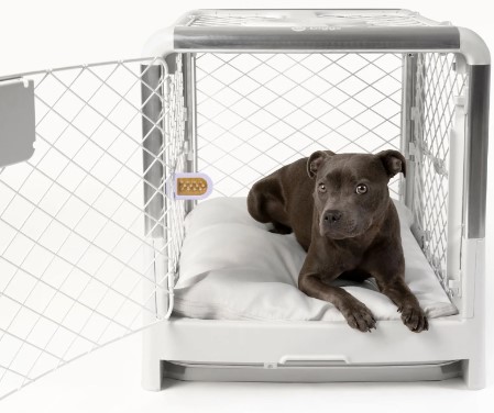 Diggs Revol small crate with Pitbull puppy