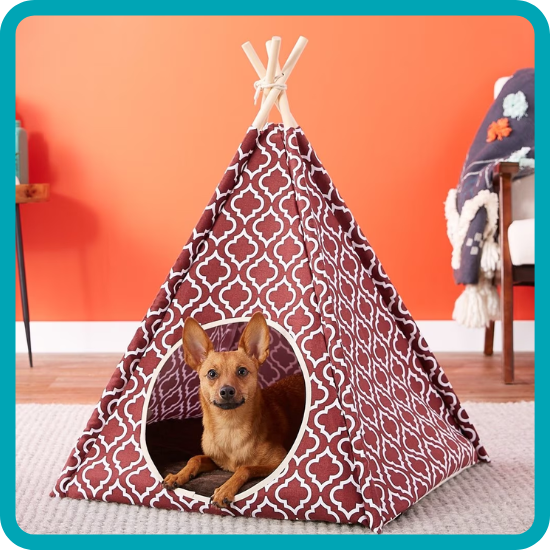 dog is cozy safe in their safe space pup tent