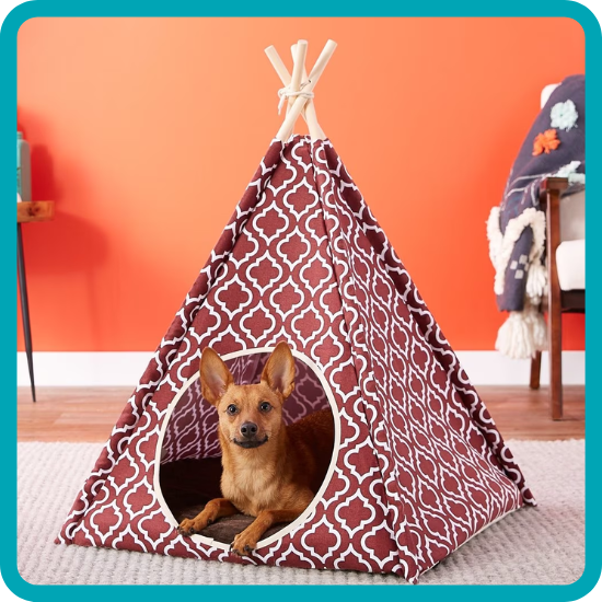 https://files.pethub.com/articles/dog-in-tent-bed.png