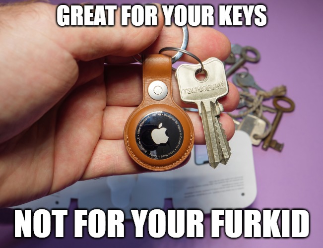 Meme of a person holding a set of keys that include an apple airtag