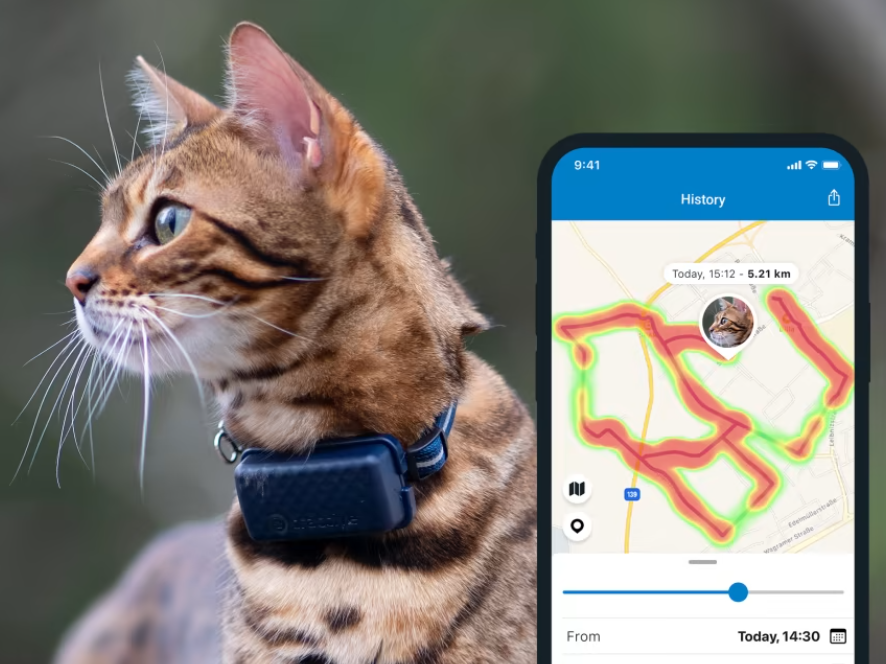 Help with GPS for pets API (Tractive GPS) : r/shortcuts