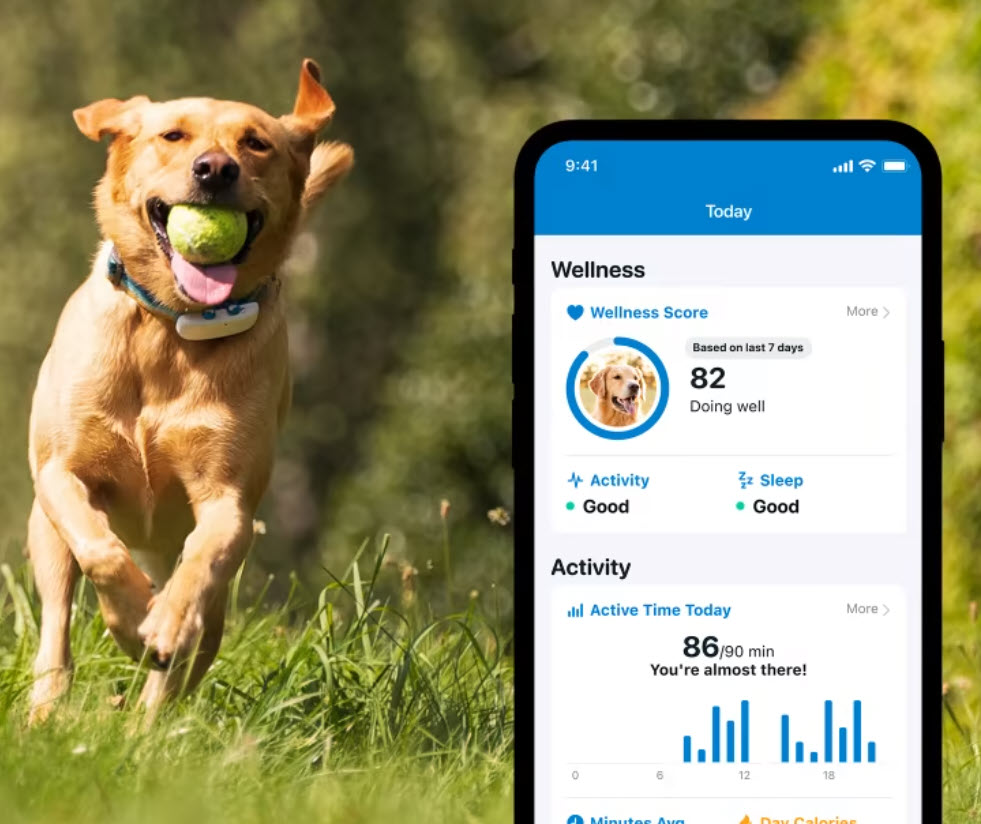 Tractive GPS Tracker for Cats and Dogs with Activity Monitoring