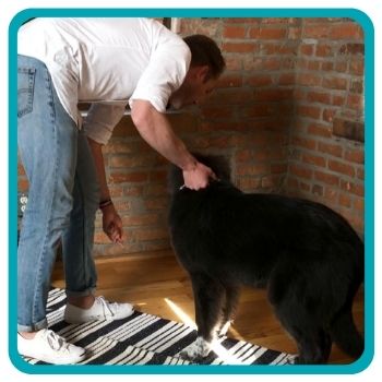 Black dog getting treat from owner