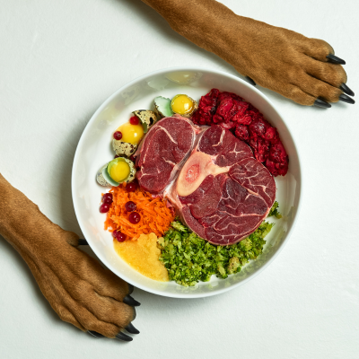 two dog paws on either side of a dog bowl with raw pet food inside