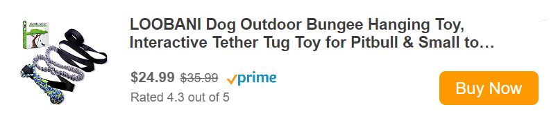 Outdoor bungee dog tug toy