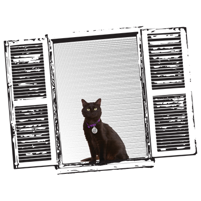 cat in PetHub digital ID tag sitting on open window sill