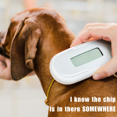 meme of a dog getting their microchip scanned