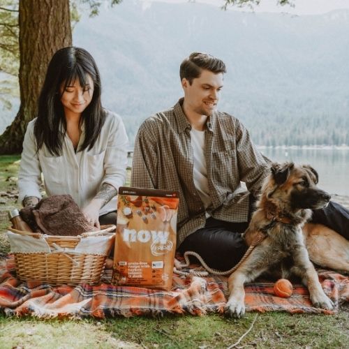 Woman and man sitting with dogs outdoors while the dog eats food