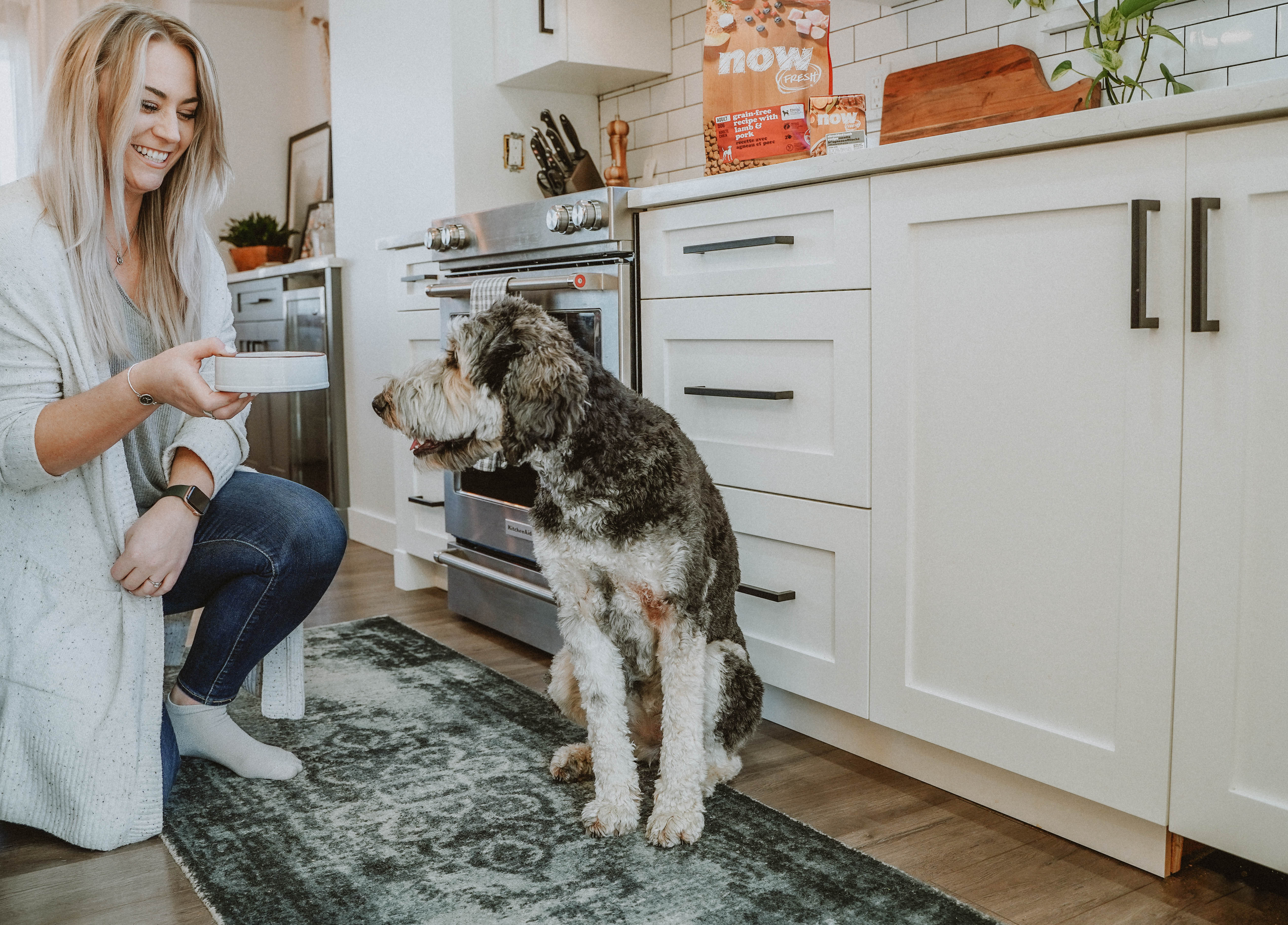 Senior dog sitting with its owner and waiting to be fed dog food