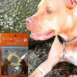 Essential oil for dog hotsell upset stomach