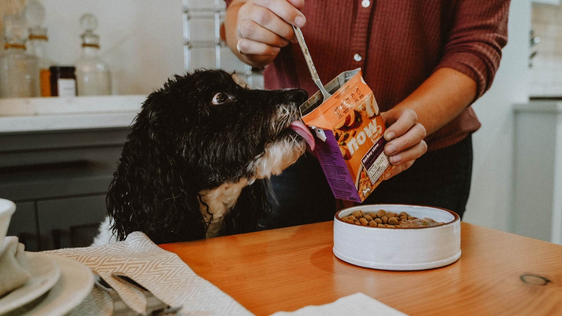 Dog waiting to eat wet food and dry food