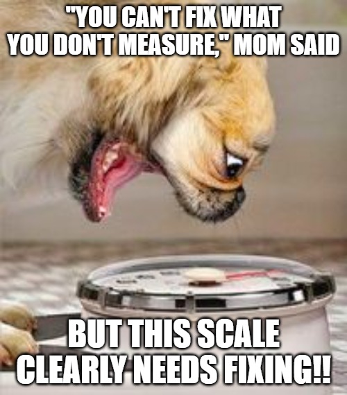 meme of dog standing on a scale with its mouth open as if in shock