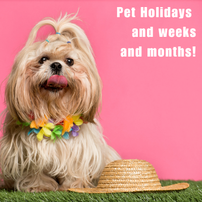 Pet holidays meme of a small dog with a pink backdrop and a lei