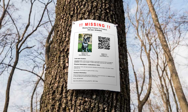 lost pet poster on a tree showing a boston terrier 