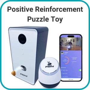 Photo of PupPod and its app on a smart phone