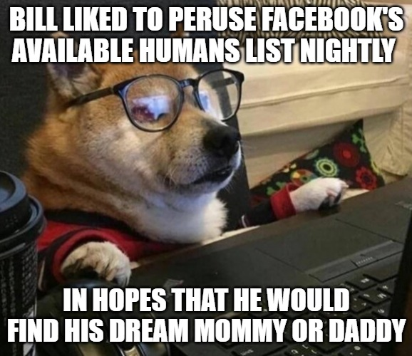 Meme of a shiba inu wearing glasses and typing at a computer