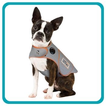 ThunderWorks - dog wearing the ThunderShirt