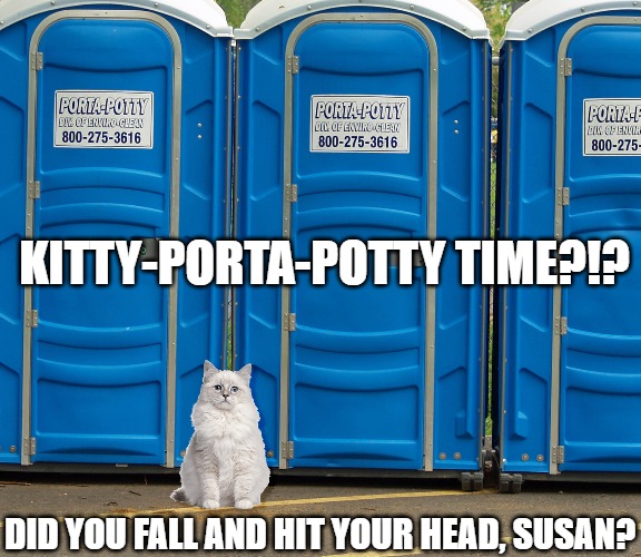 Meme of a white cat sitting in front of a row of Port a Potties looking angry