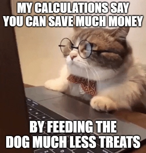 meme of a cat sitting at a computer as if it's typing and wearing glasses