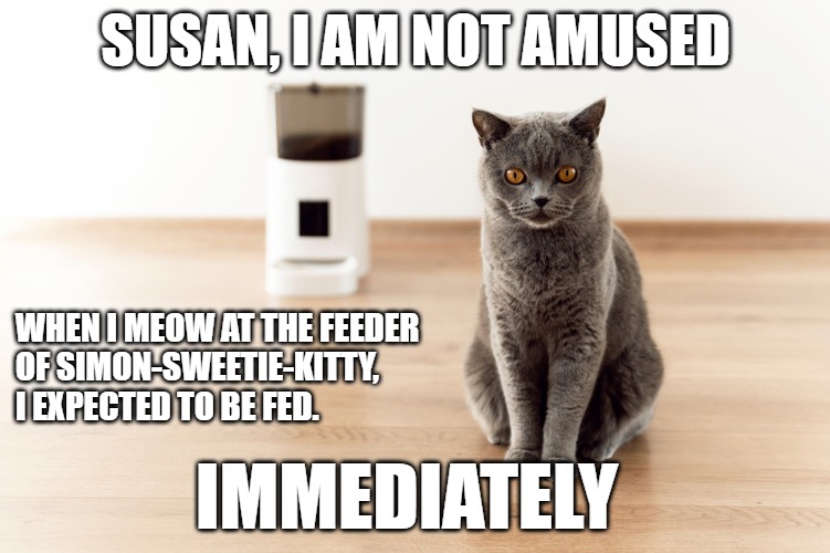 Meme of a grey cat looking at the camera angrily with a smart feeder in the background
