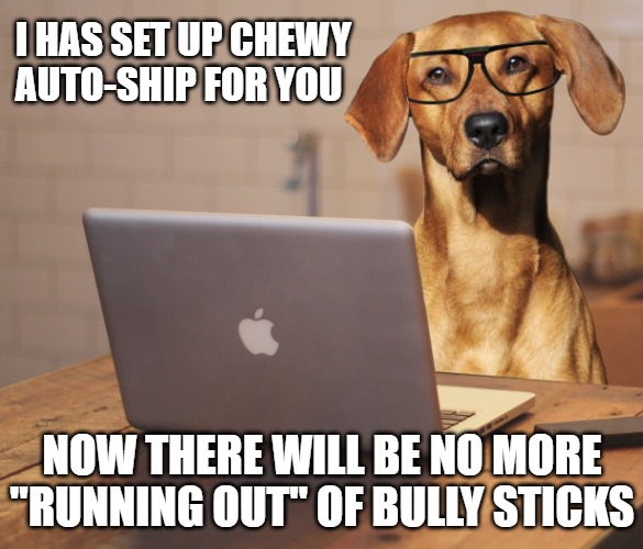 mem of golden colored dog wearing glasses and sitting behind a laptop