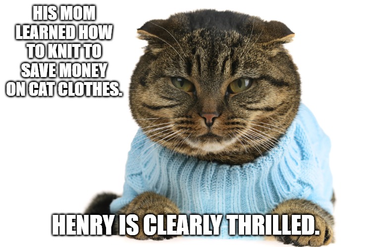 Meme of a chunky tabbie cat wearing a light blue sweater and looking grumpy