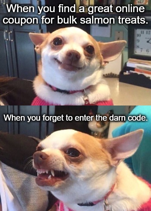 Meme of chihuahua type dog smiling, then snarling 