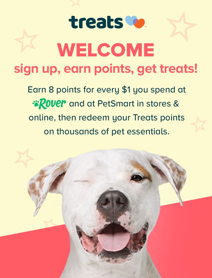 Screen grab of loyalty programs for Rover and PetSmart featuring a white pitbull type dog winking and smiling