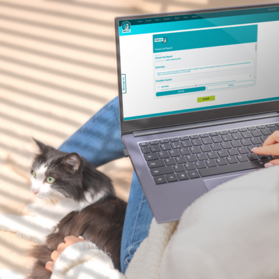 a pet parent sitting next to a grey and white cat with a laptop on their lap as they chat with a veterinarian using telehealth