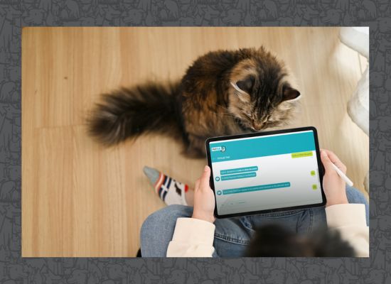 Dark grey tabby cat laying its head on a laptop keyboard