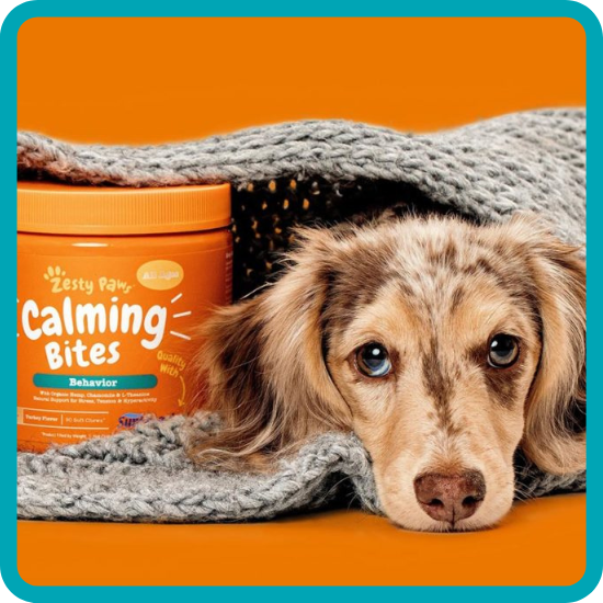 Calming Dogs Anxiety, Dog Behavioral Training Toy