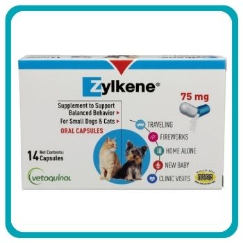 Zylkene Supplement