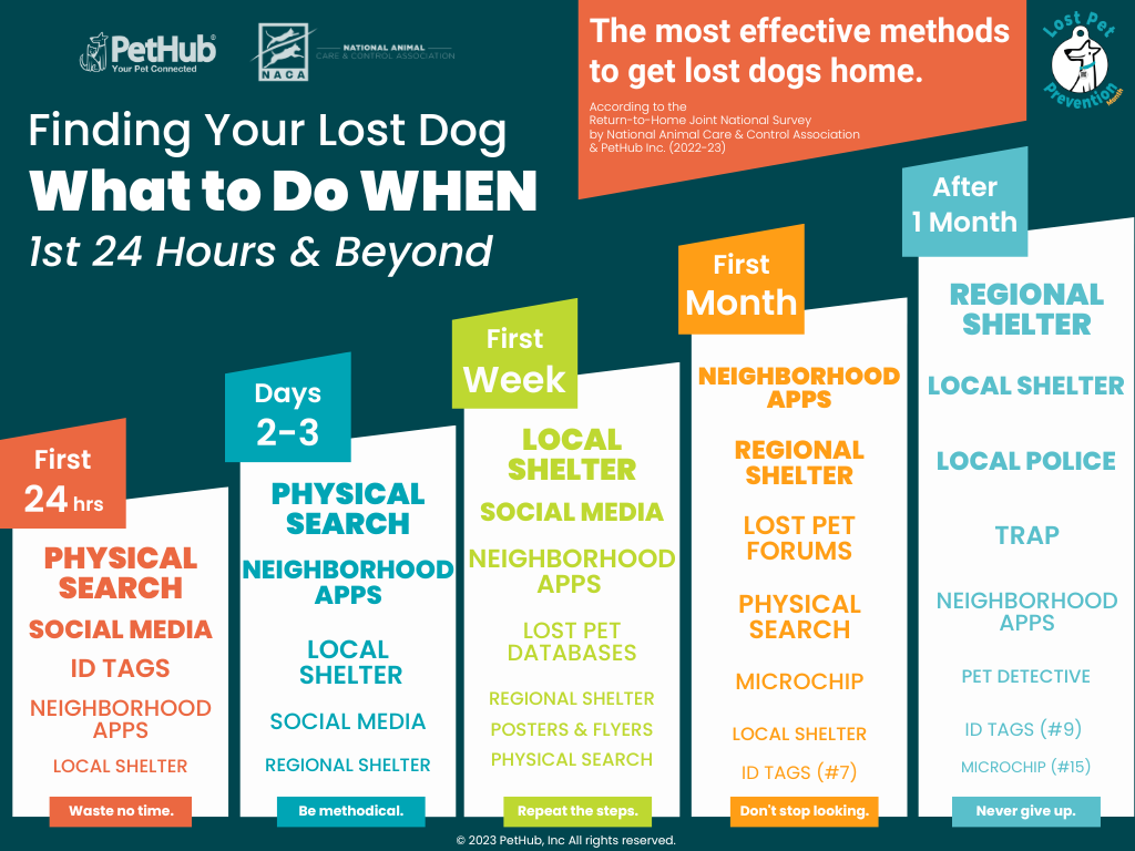 Chart showing the most effective ways to bring a lost pet home based on how much time has spanned