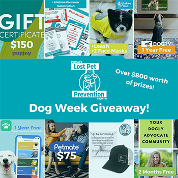 dog_week_giveaway_prizes