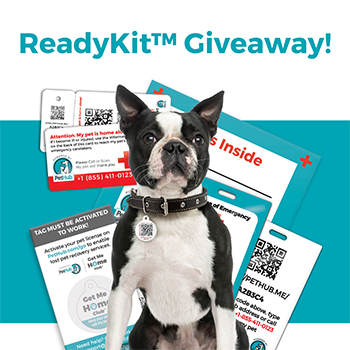 ready-kit-giveaway